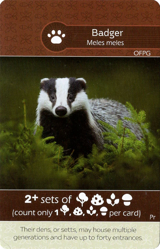 Earth: Red Fox / Badger Promo Card - Image 2